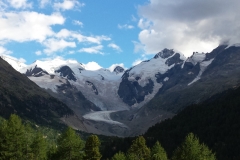 20150802181904 franzbewegt