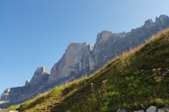 20160912_100748 franzbewegt