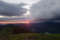 20170610_052505 franzbewegt