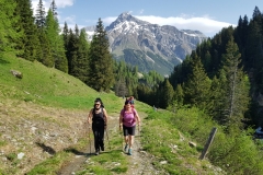 20180530_090841 franzbewegt