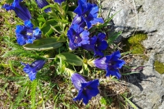 20180530_093309 franzbewegt