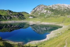 20180724_090215 franzbewegt
