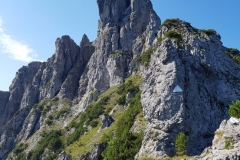 20180731_102648 franzbewegt