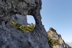 20180731_103026 franzbewegt