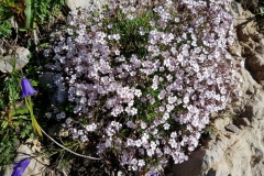 franzbewegt.at