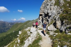 franzbewegt.at