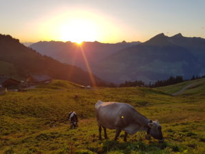 Vom Sonnenuntergang in die Vollmondnacht. @ Grasgehren
