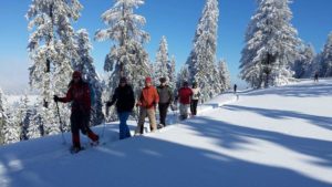 Schneeschuh-Tageswanderung @ Bezau - Niedere - Stongerhöhe