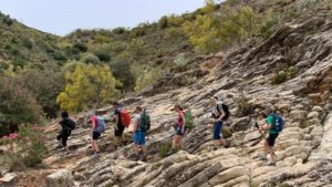 Andalusien. Rund um Ronda @ Spanien - Andalusien - Malaga - Ronda