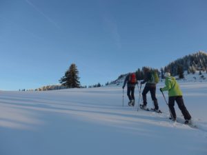 Schneeschuh-Tageswanderung @ Bregenzerwald